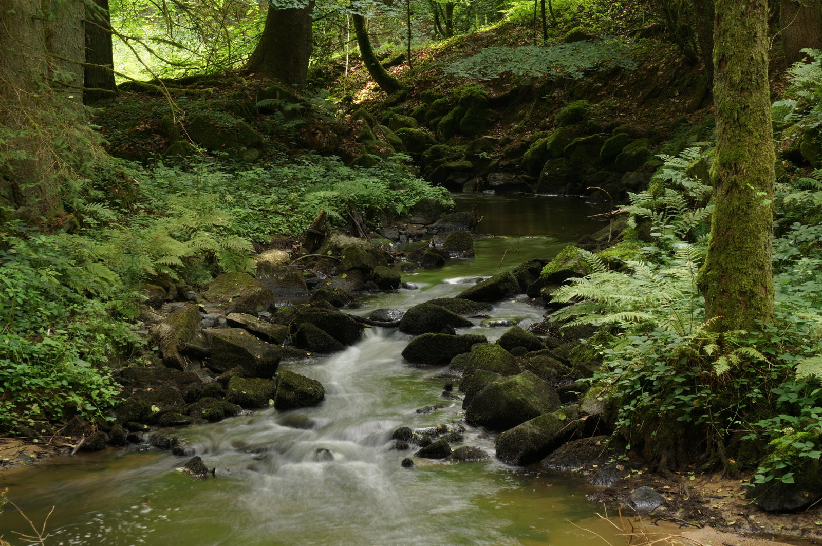 Schöne Heimat: Die kleine Ohe