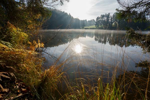 Herbstleuchten am Eginger See