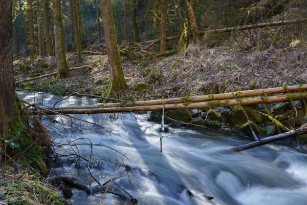 Ohe-Rauschen an der Burgstallrunde