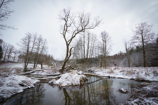 Winter an der Ohe bei Fickenhofmühle